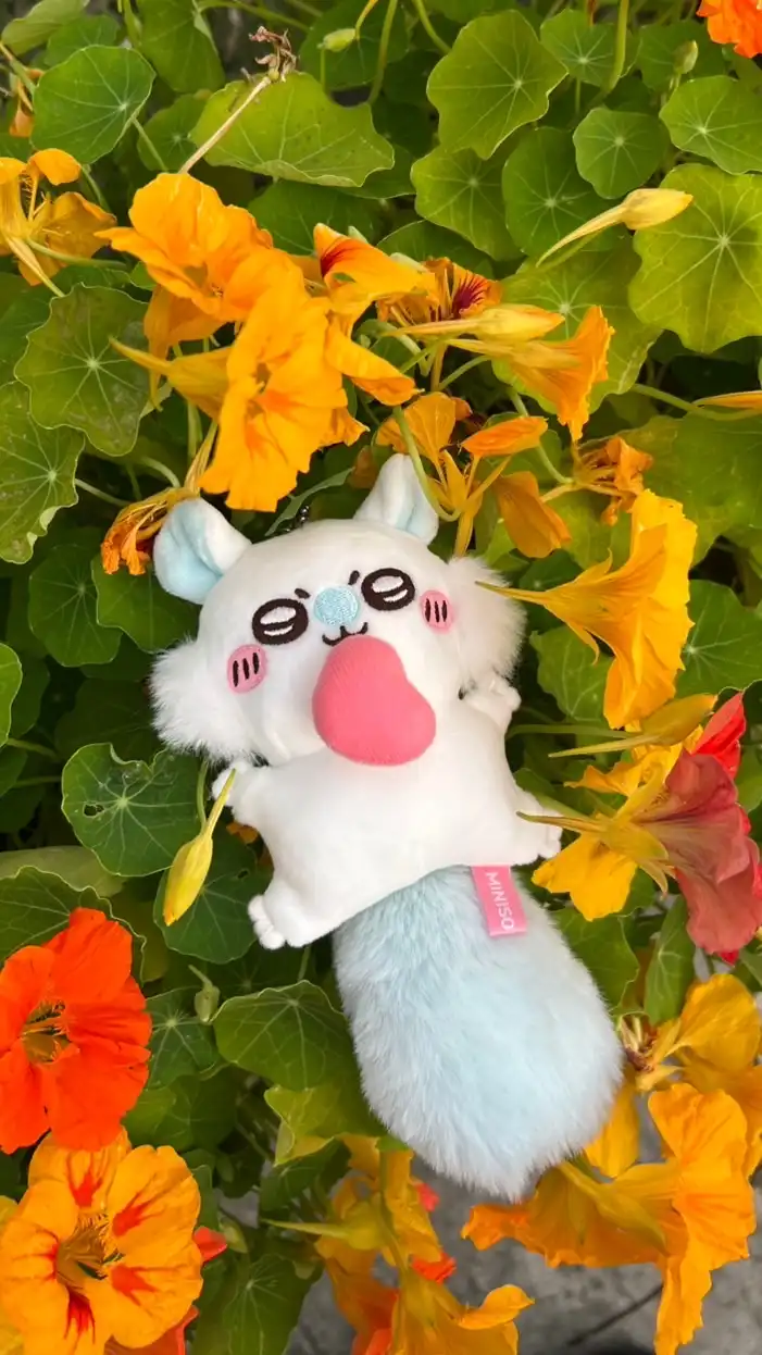 林奶奶の吉依商行代購👵🏻🌼