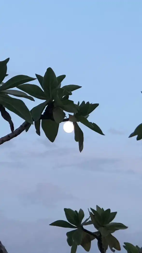 艾美御花園大樓