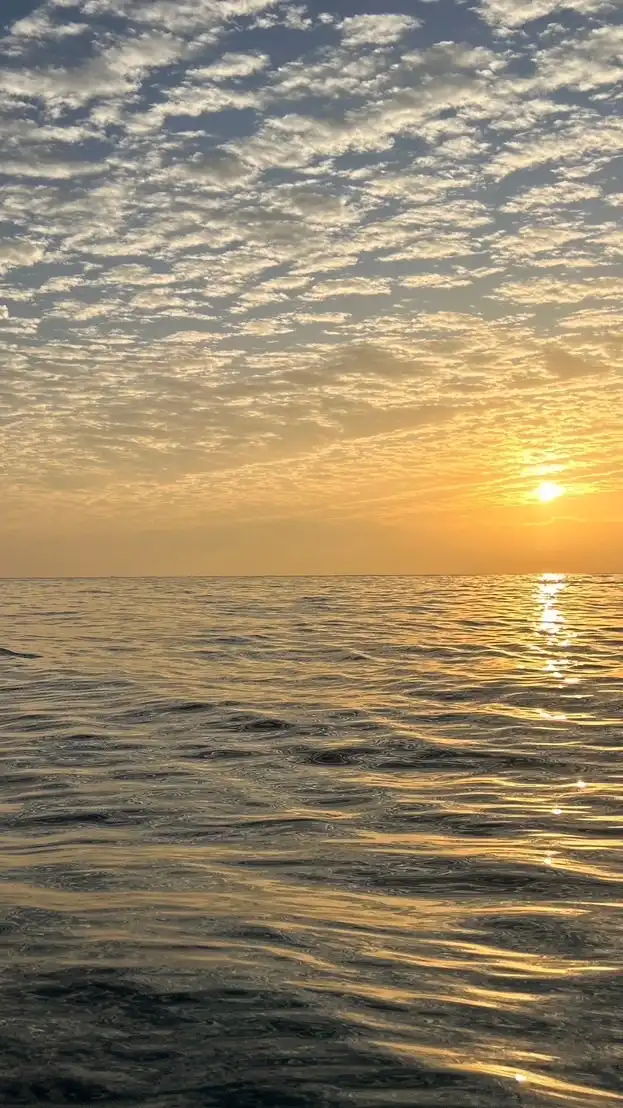 鳳姐民宿推薦｜花東綠島旅宿分享群
