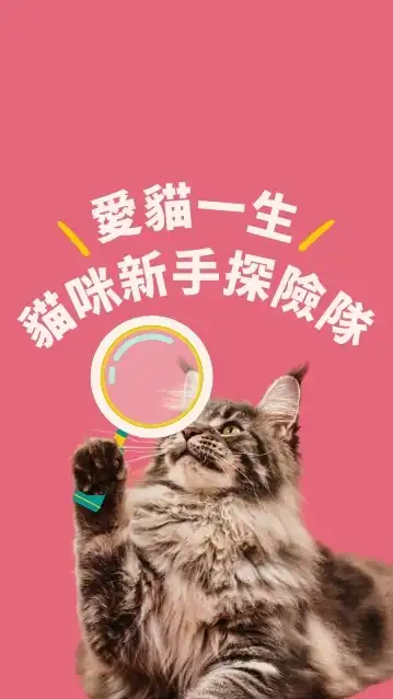愛貓一生 • 貓咪新手探險隊