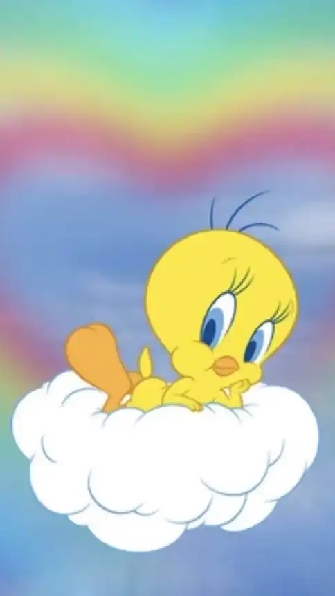 Tweety Babiee 美國代購🇺🇸