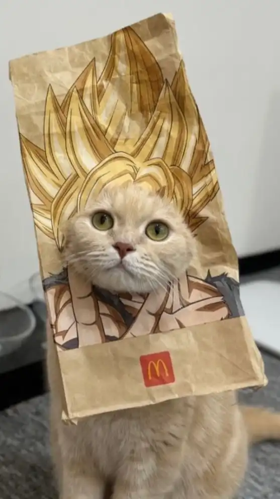 保護小麥