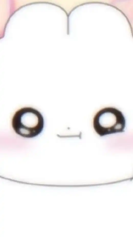99代購🇰🇷17周邊代購✨wvs/快閃/韓國代購✨