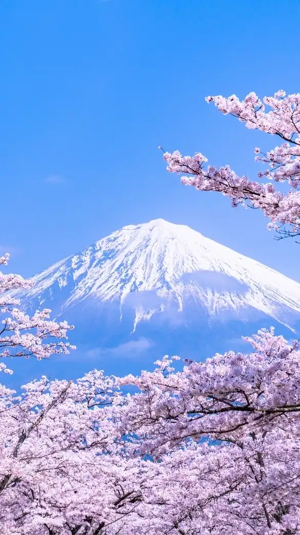 天使織坊-日本代購社群