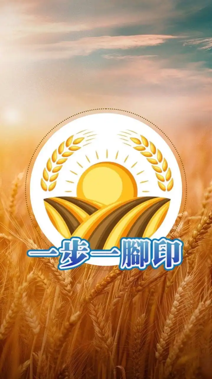 聚商成勢·貨利同行 Together