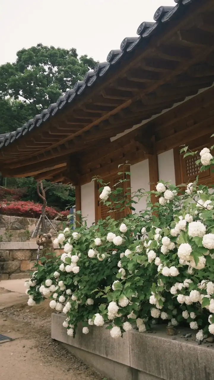 🇰🇷小呂血拼🇰🇷 歡迎許願 韓國代買 韓國代購 國外採購