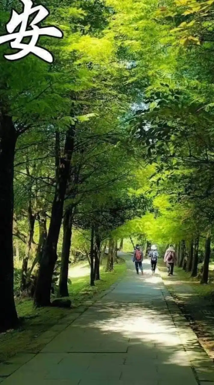 板橋租場地專群