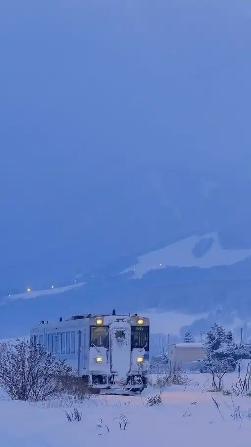 楊遊千里 一起旅行去