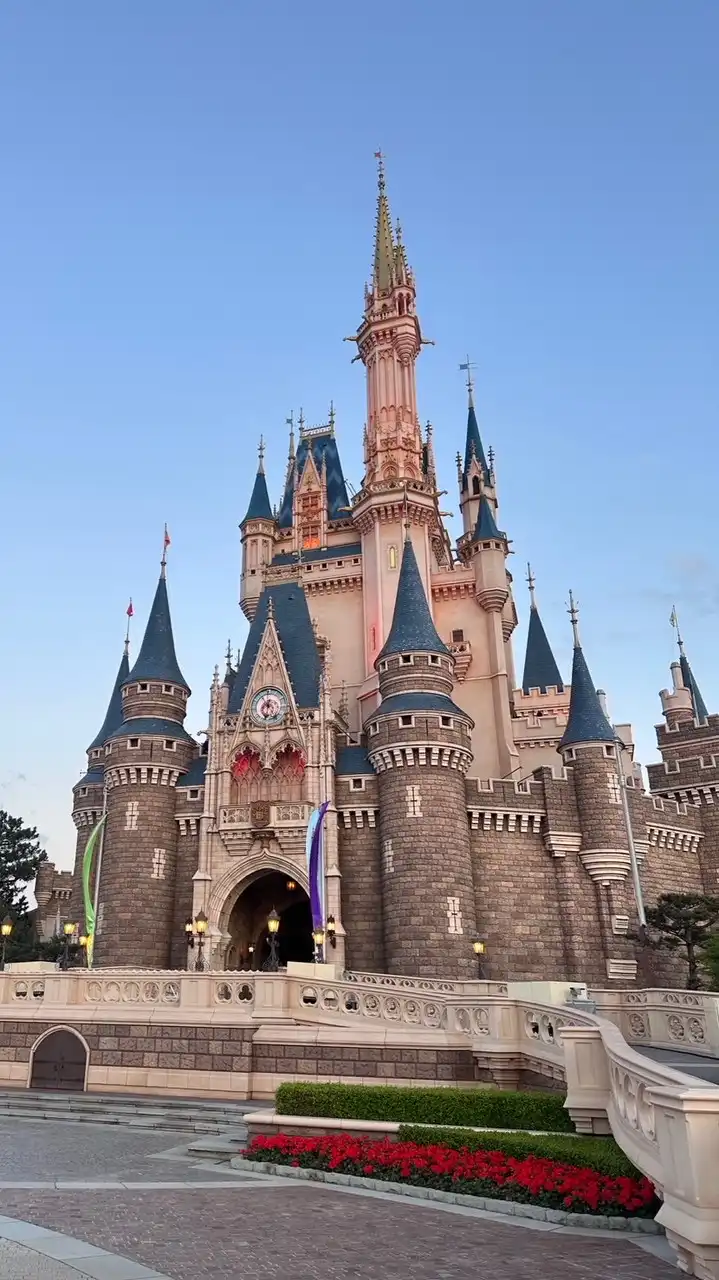 🌸花兒泰日韓連線代購💕