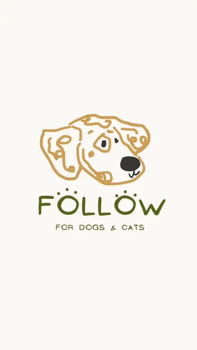 Follow狗狗貓貓 選物店🐾