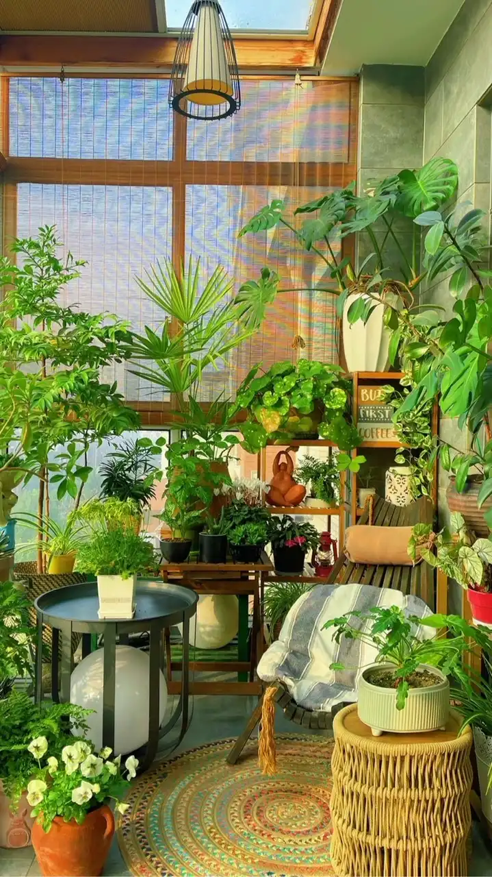 植愛無限•小森圈🍀種植二群～