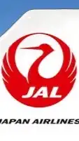 6/1 日本航空 空服面試群