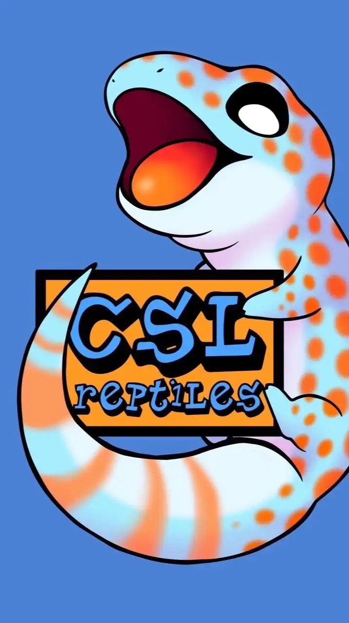 CSL-reptiles 專用討論/競標社群（客人）