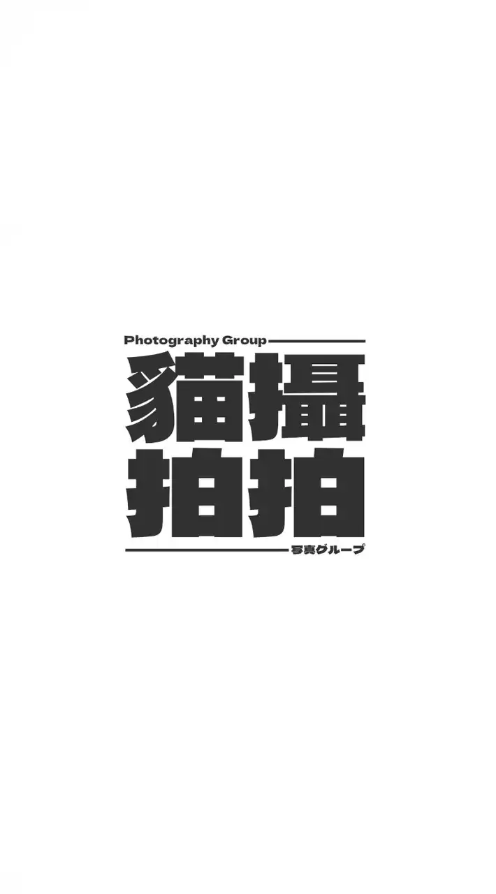 貓攝拍拍