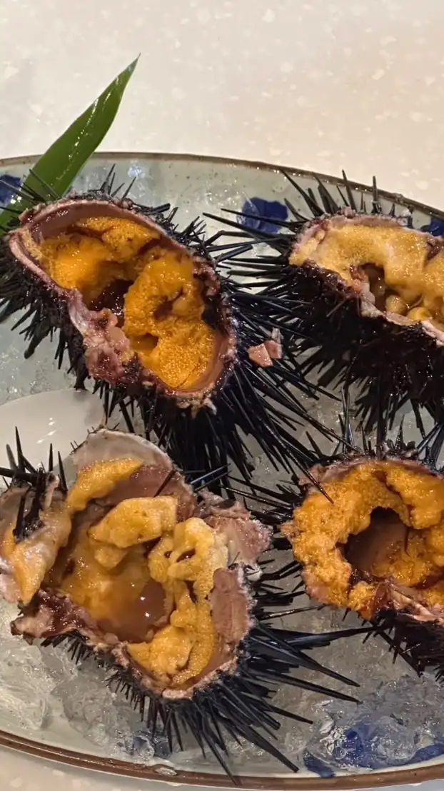 新竹活鮑魚/活紫海膽/透抽/脆卷/生魚片專屬區🫶🏻