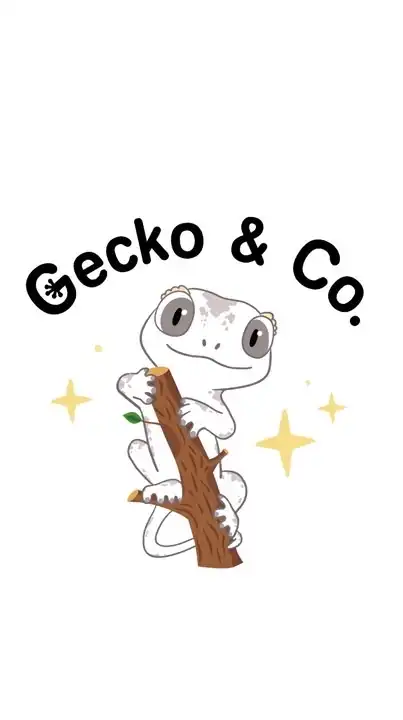 Gecko&Co.