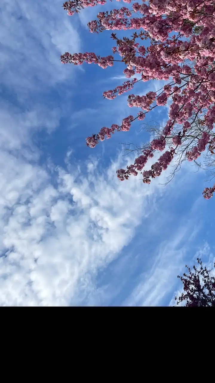 Karen育兒療癒健康站✨