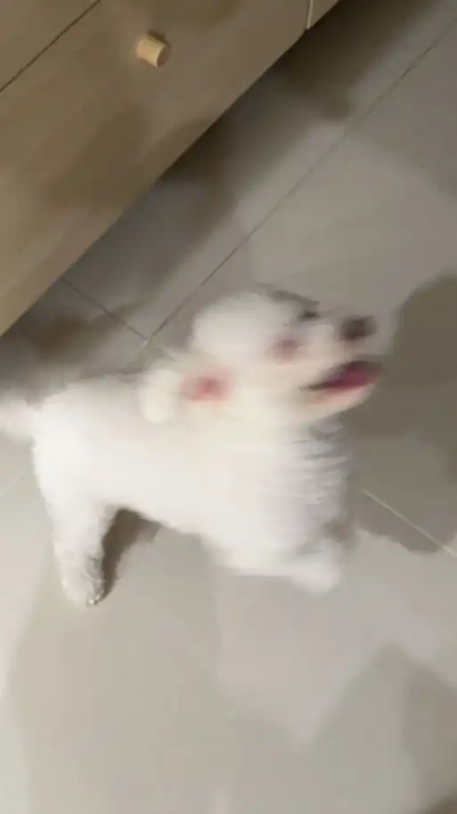 快樂源泉發電廠👀