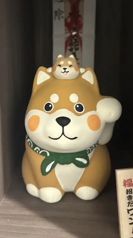洋洋媽咪日本代購