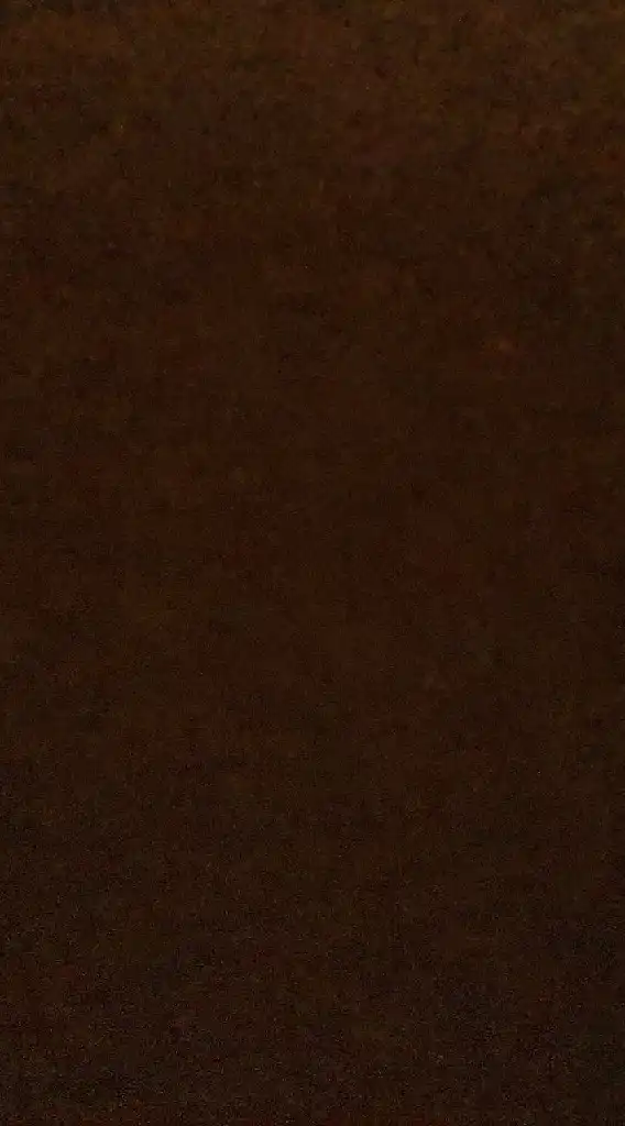 布媽屋好康報報