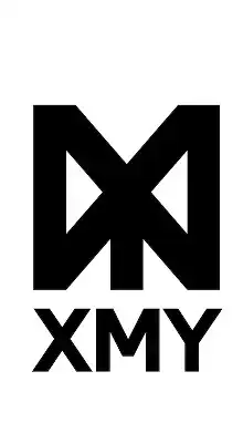 台股報告許願池2群_Mr.X艾克斯