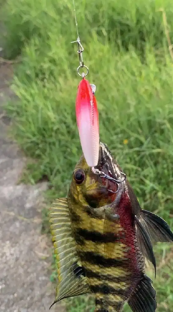 跟著海瓜子來搞休閒