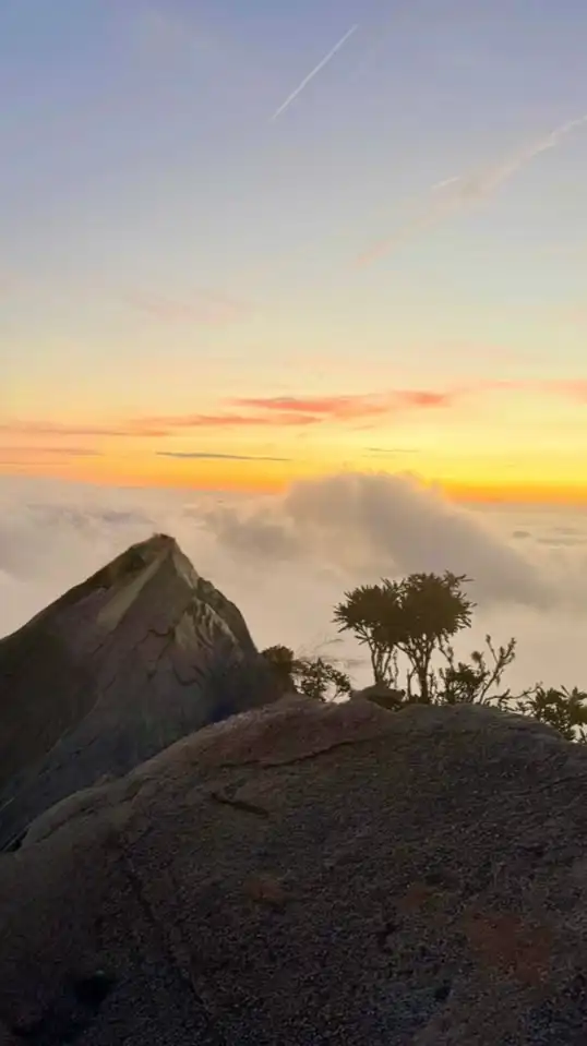 登山慢遊團-新手友善