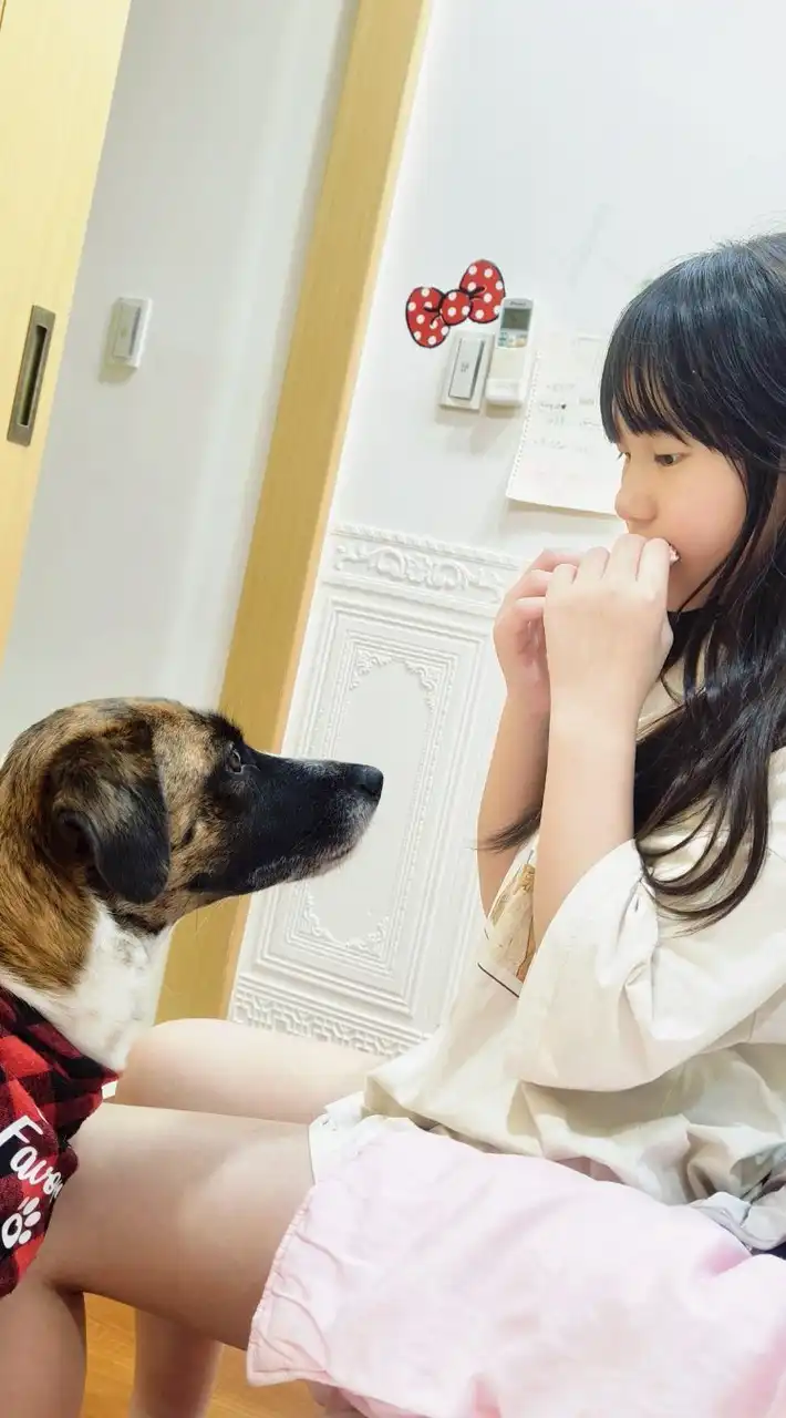 D&K OFFICIAL 毛孩家長會-開群抽獎進行中
