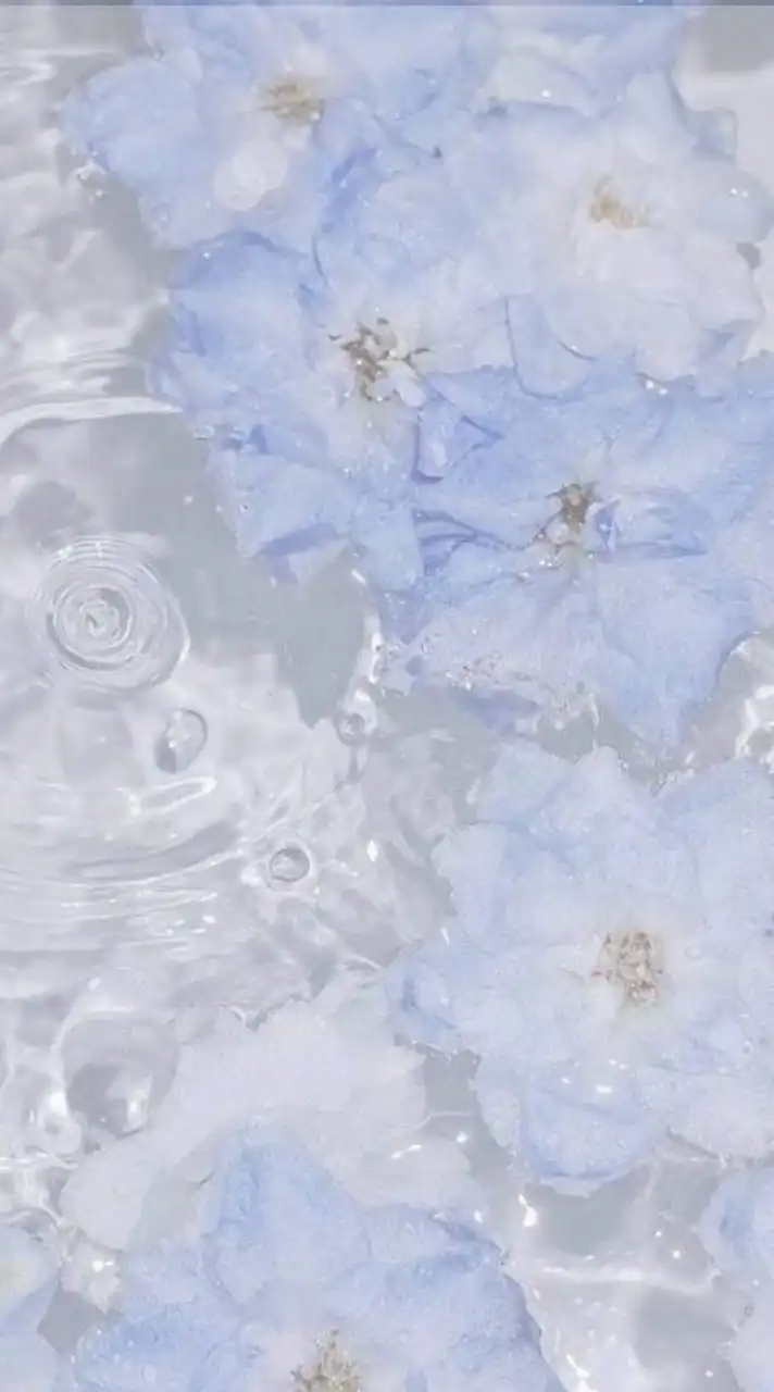 ˚₊‧꒰ა一路繁花 星途璀璨⊹ᯓ𖤐