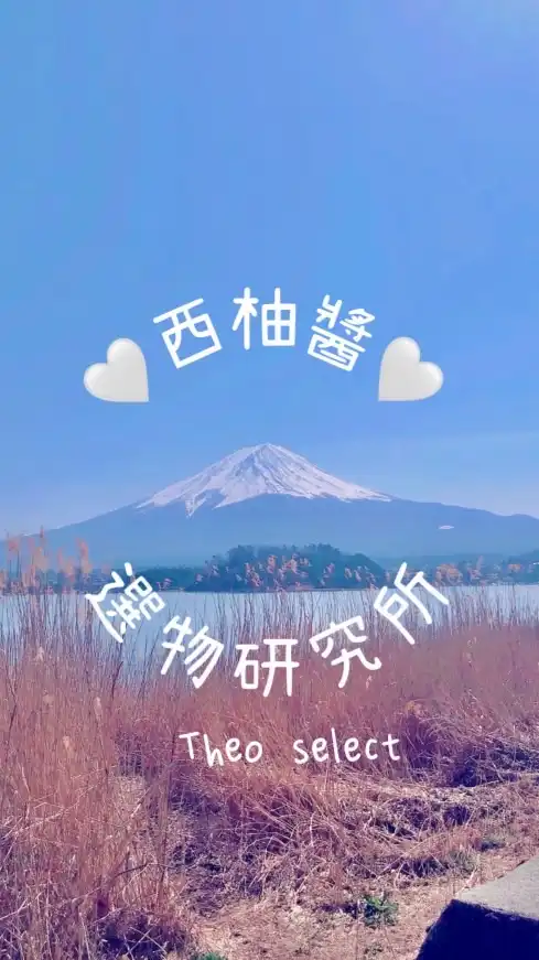 《西柚醬の選物研究所❤️Theo Select❤️》