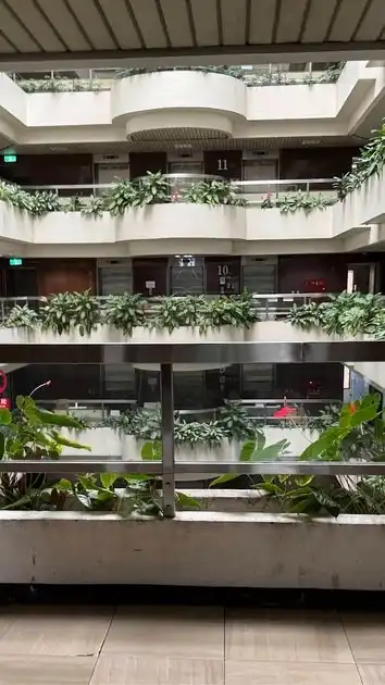 興中興中抱抱散戶團