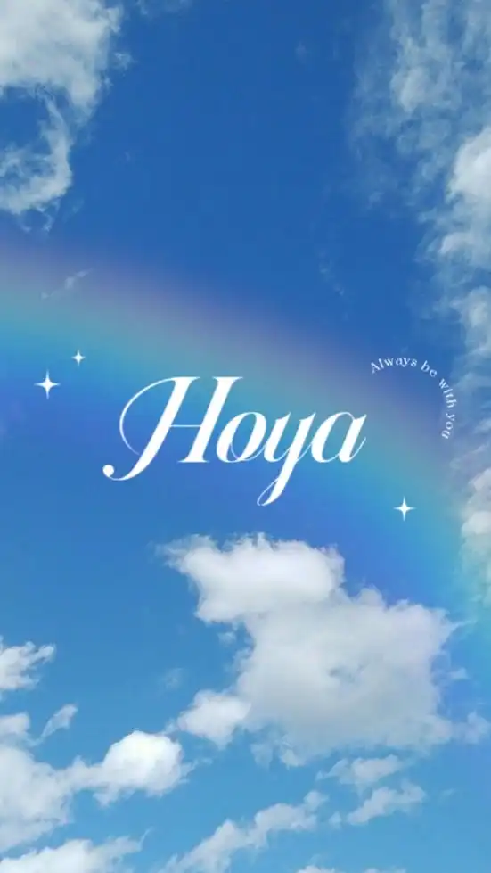 Hoya直播連線公布欄📣