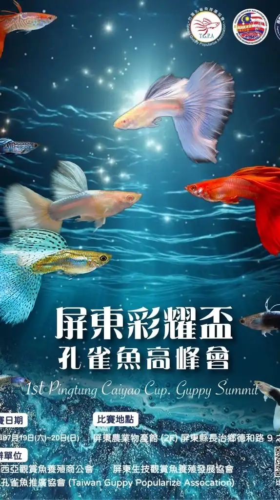 台灣孔雀魚標會｜Taiwan Guppy Auction Society