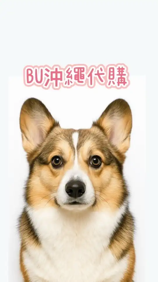 BU沖繩代購8/25結單 9/1開始出貨✈️