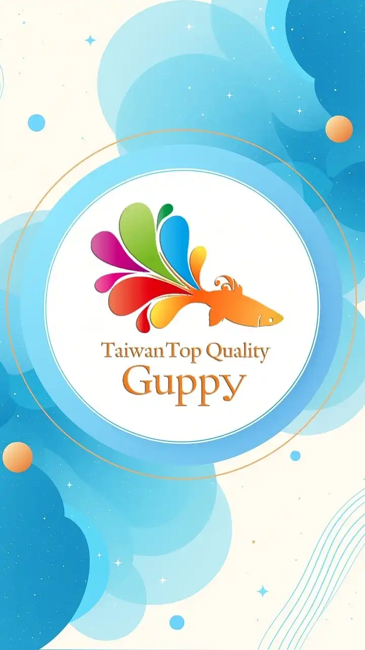 🐠 搶標熱！TTQG 孔雀魚拍賣場