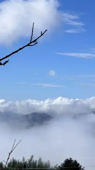 35+唯一有 你妳  距離剛剛好 感覺剛剛好  眾生皆草木  唯你是唯一