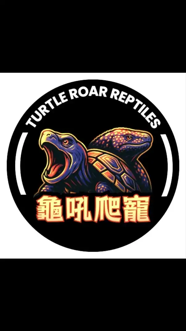 龜吼爬寵-交流、販售、競標 群組