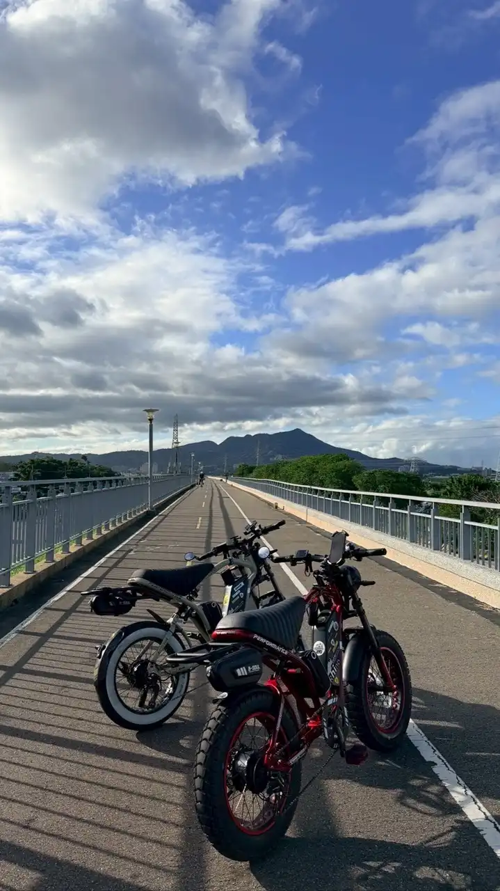 Rhino胖胎電輔自行車（北部）