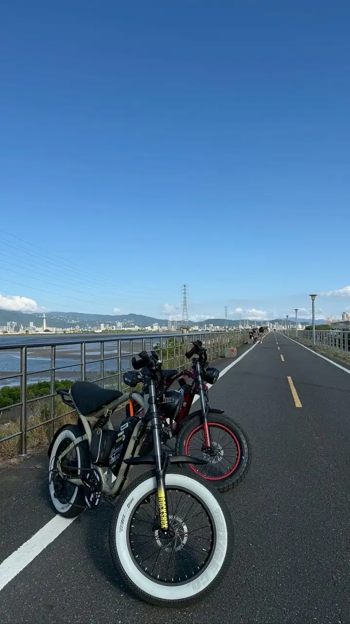 Rhino胖胎電輔自行車(北部)