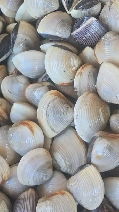 協豐水產批發零售區