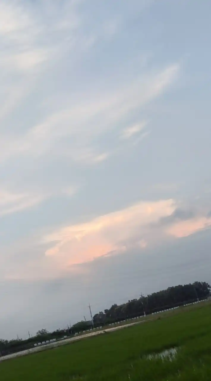 學生聊天/處關係/找男女友/交流