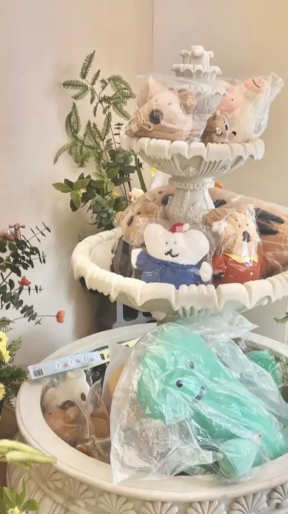 Ariana文博會代購