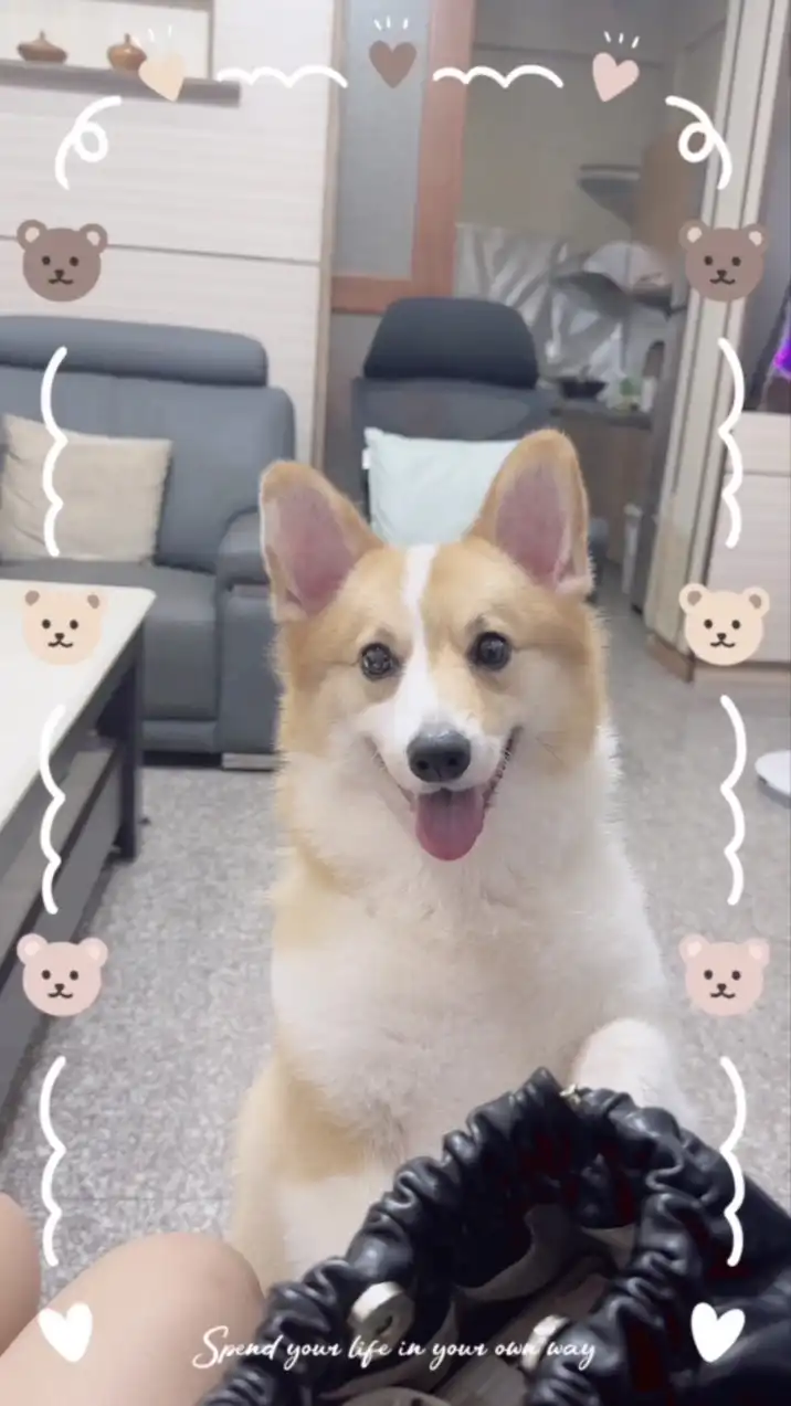 埔里好市多代購｜靉生活館