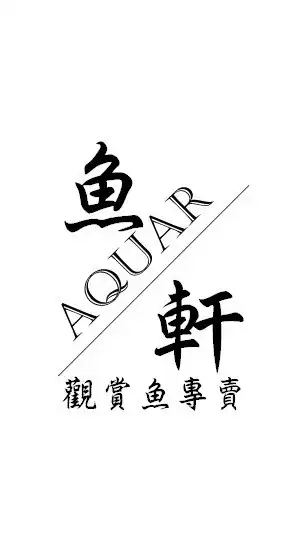 魚軒水族『台中在地30年老店，金魚、錦鯉、孔雀魚…各種多樣魚種』
