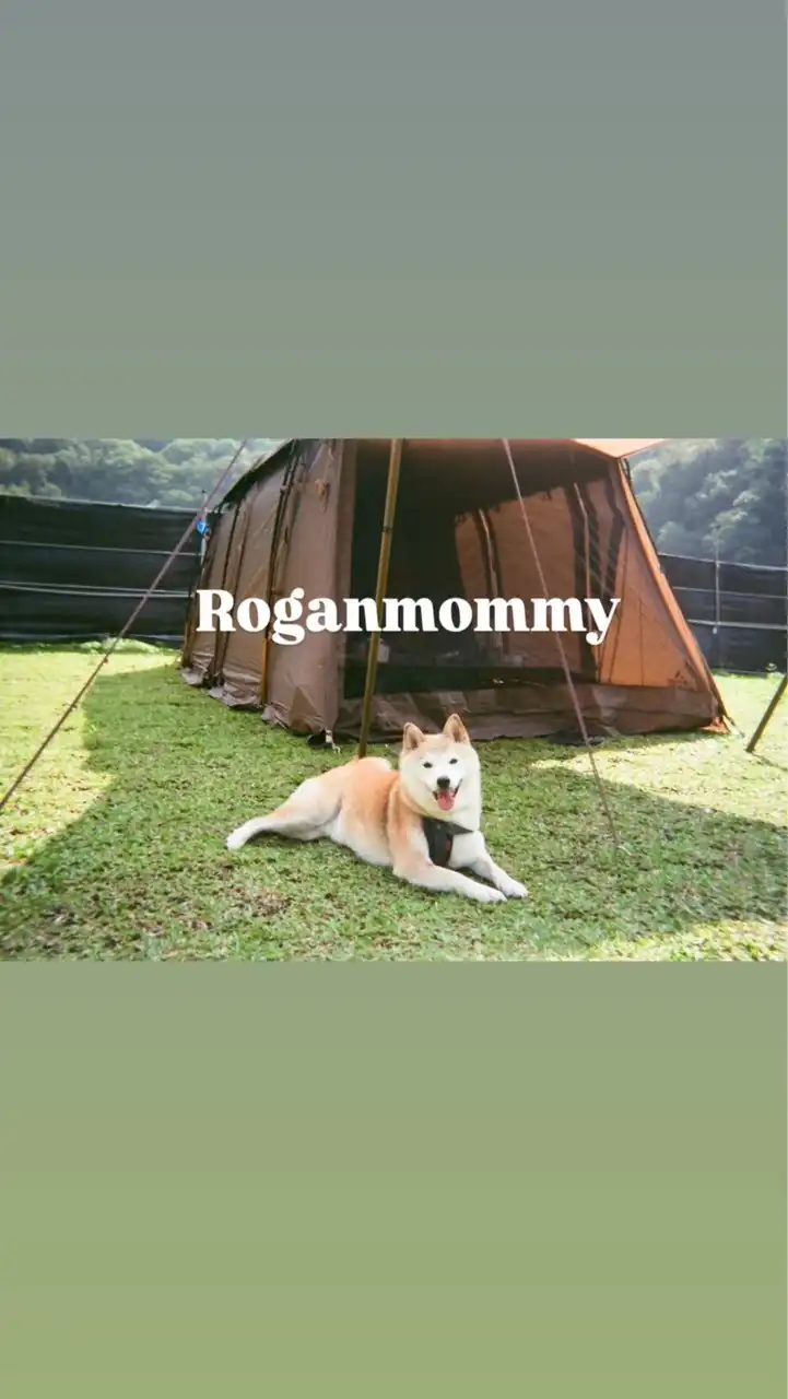 Roganmommy 日本大阪代購🐶💫