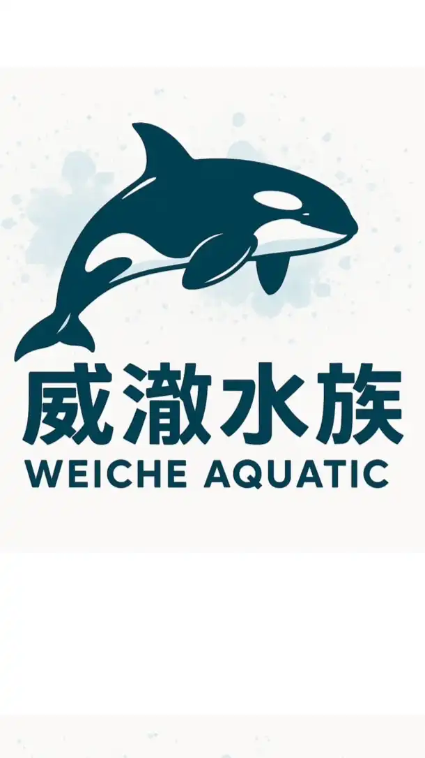 威澈水族 台中淡水觀賞魚批發/交流