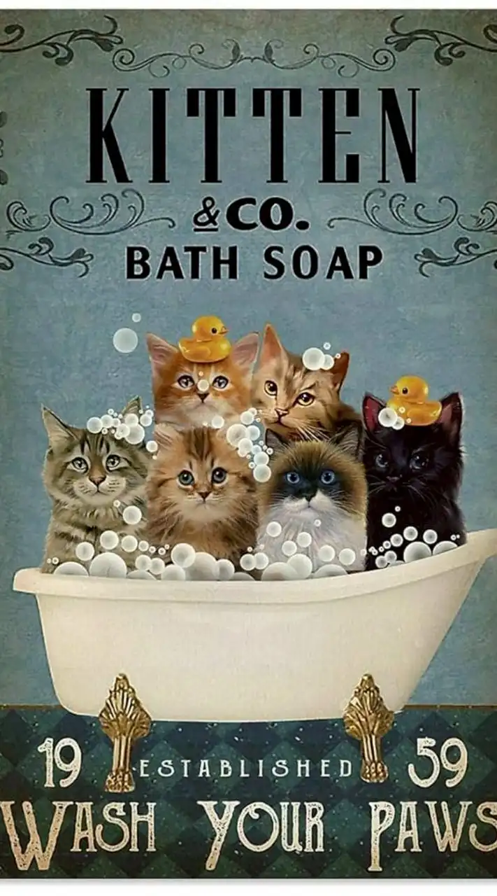 😺沐沐猫當家👉🏻貓用品推薦團代購分享群/ᐠ。ꞈ。ᐟ\🌹