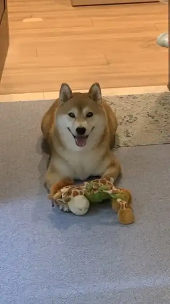 俊毅生活小舖