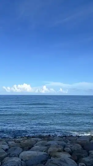 桃園猛健樂分享