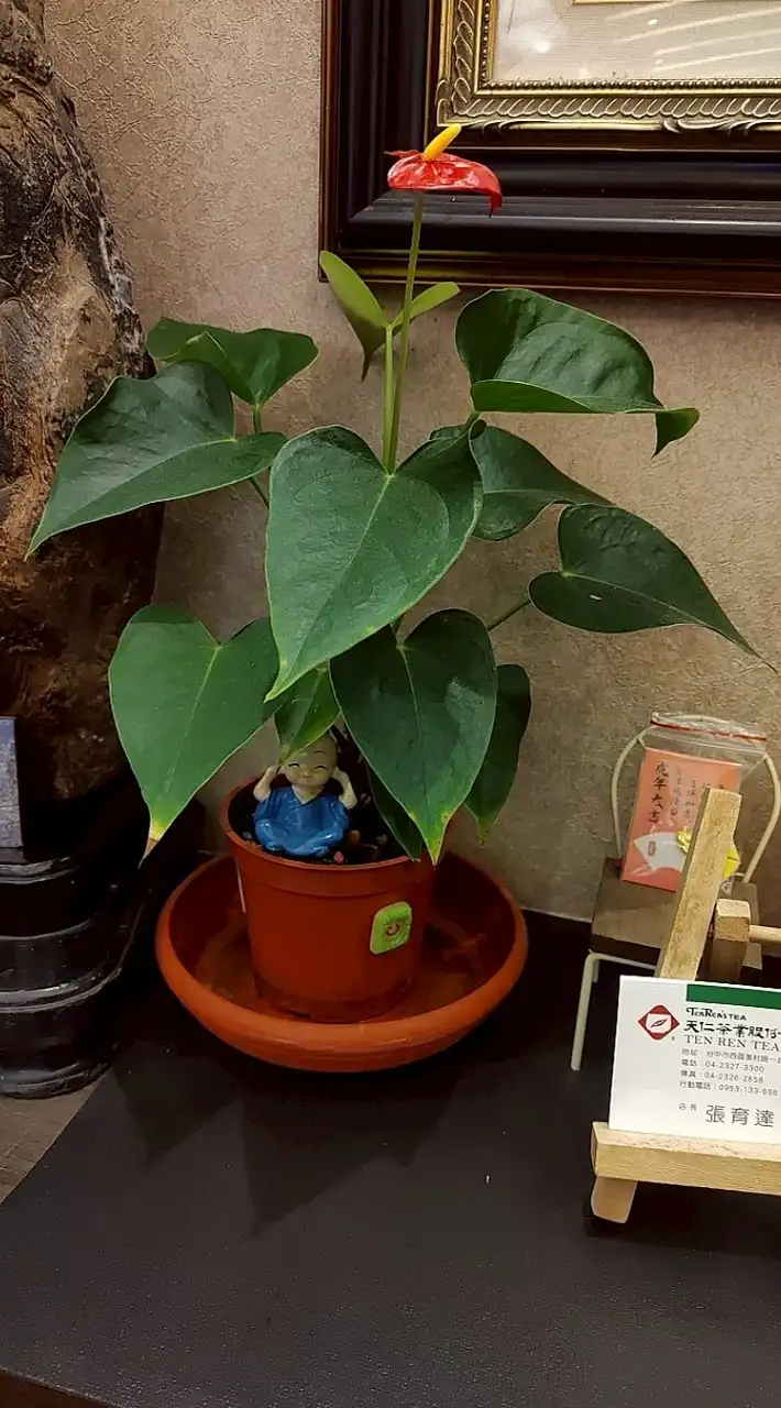 天仁茗茶台中美村店